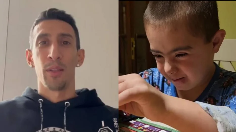 8_dimaria