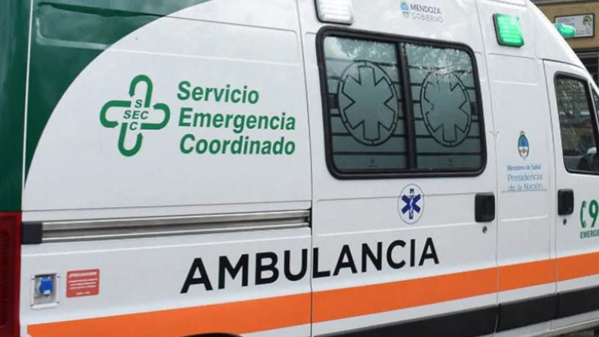 ambulancia-del-secjpg