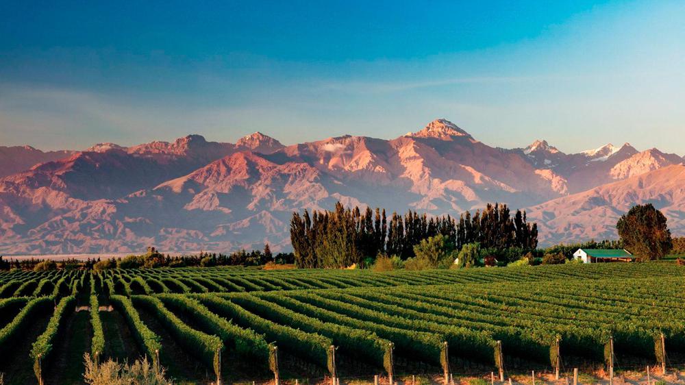 turismo-mendoza-2-web